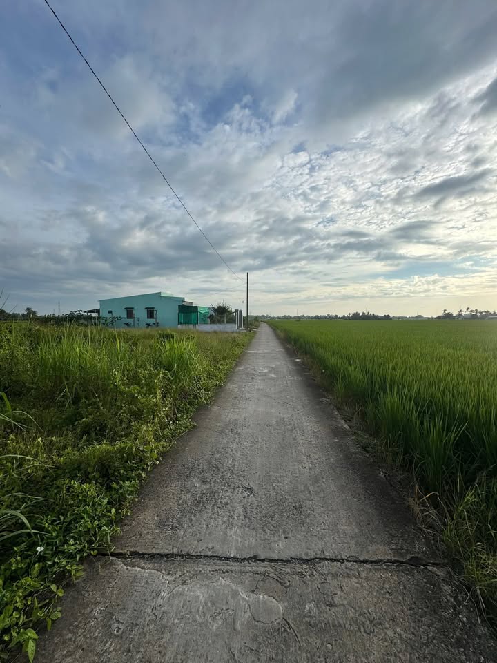 Đất nền 157m² tại Ấp 3 Lạc Tấn, Tân Trụ - Giá 495 triệu, thuận tiện xây dựng ngay!