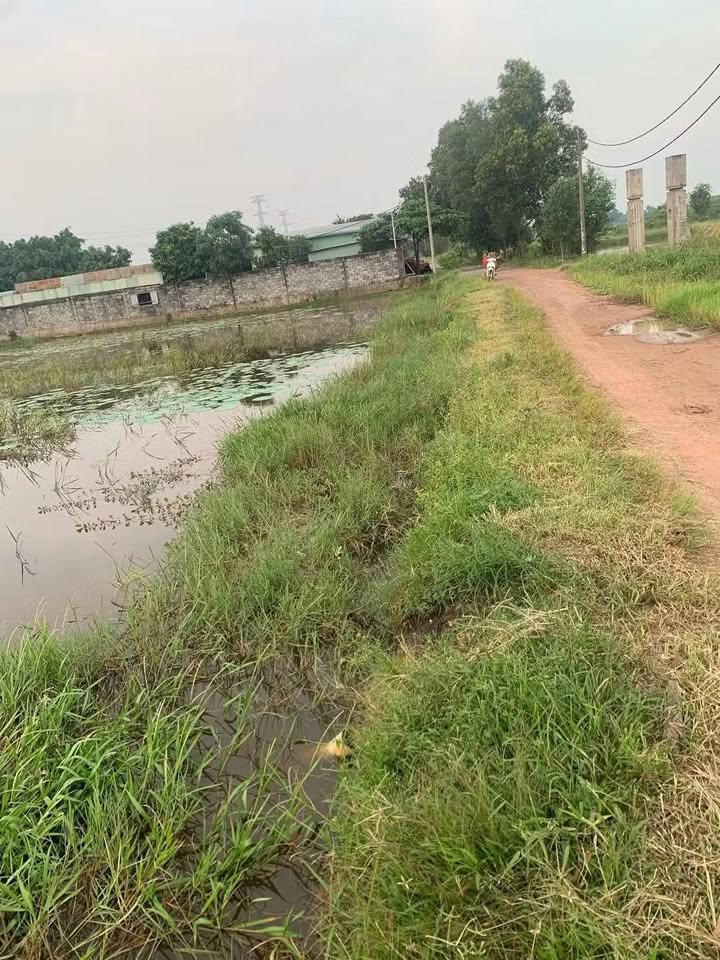 Đất vườn Tân Thạnh Đông Củ Chi 2000m² giá 7 tỷ - Cơ hội đầu tư tuyệt vời!