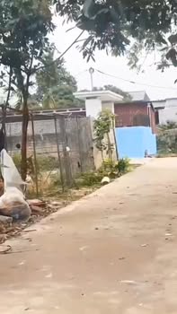 Đất thổ cư Xương Lâm, Lạng Giang 200m² giá chỉ 2xx triệu - Cơ hội đầu tư tuyệt vời!