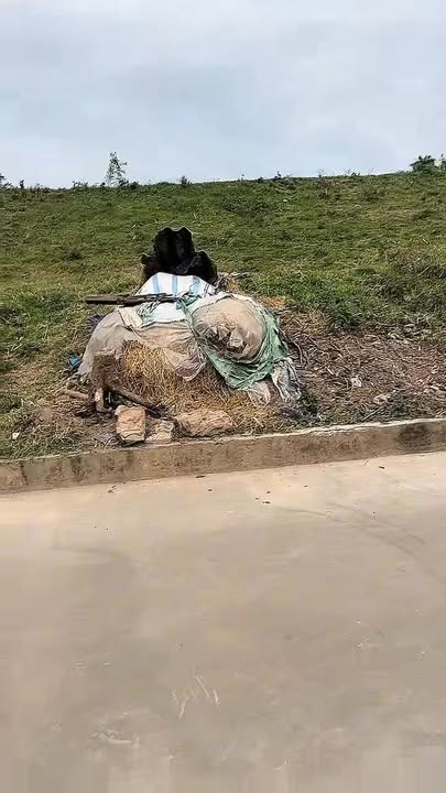 Đất nền Cao Đức - Gia Bình 75m² giá 1.6 tỷ - Cơ hội đầu tư tuyệt vời!