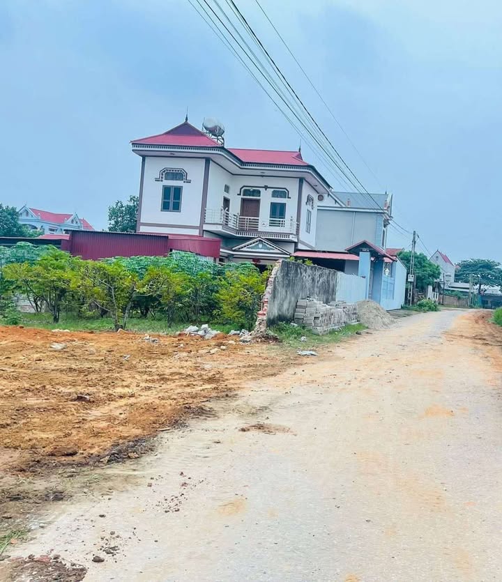 Đất nền Lan Mẫu Lục Nam 500m² giá 1 tỷ - Mặt tiền gần 14m, ô tô tránh thoải mái!