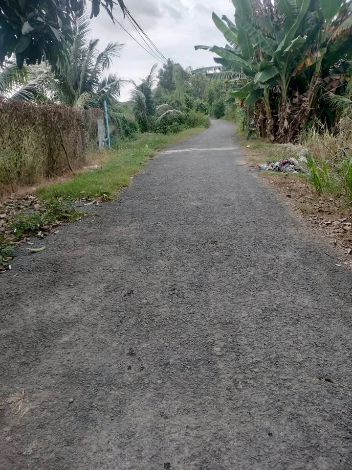 Đất nền mặt tiền đường nhựa ấp Bình Trung, Đồng Tháp 180m² - Cơ hội đầu tư giá tốt!