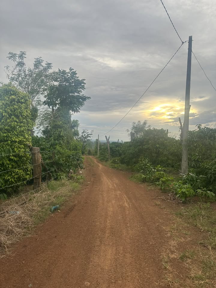 Đất sào tại Ea Bar, Buôn Đôn 2.678 sào giá 1.607 tỷ - Cơ hội đầu tư hấp dẫn!