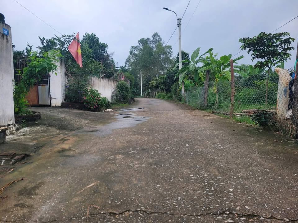 Đất thổ cư 798m² tại thôn Trại Giềng, Tam Dương - Giá chỉ 6.065 tỷ!