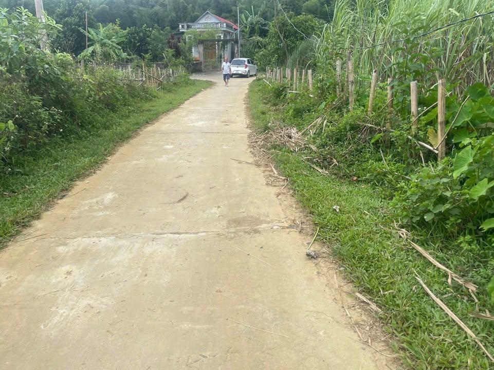 Đất nền phân lô 2400m² Điền Lư, Bá Thước chỉ 600 triệu - Cơ hội đầu tư hấp dẫn!