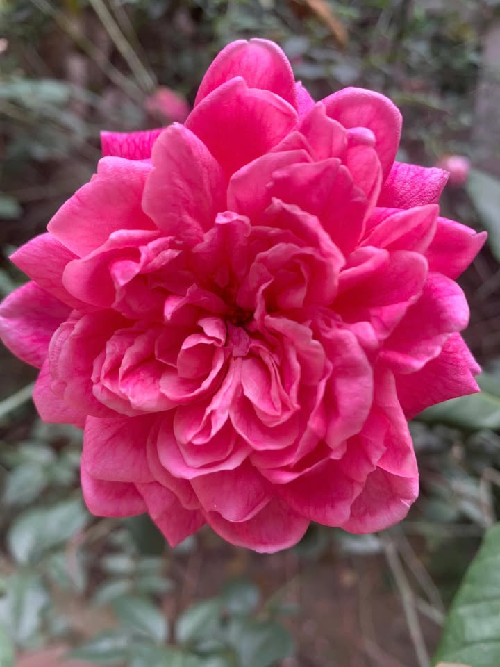 Đất nền Hội Hợp Vĩnh Yên 100m² giá 2.5 tỷ - Cơ hội đầu tư hấp dẫn!