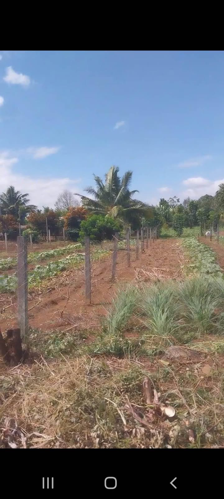 Đất nền liền kề đường Liên Thôn 8, Cư Êbur, 160m² chỉ 690 triệu - Đầu tư sinh lời!