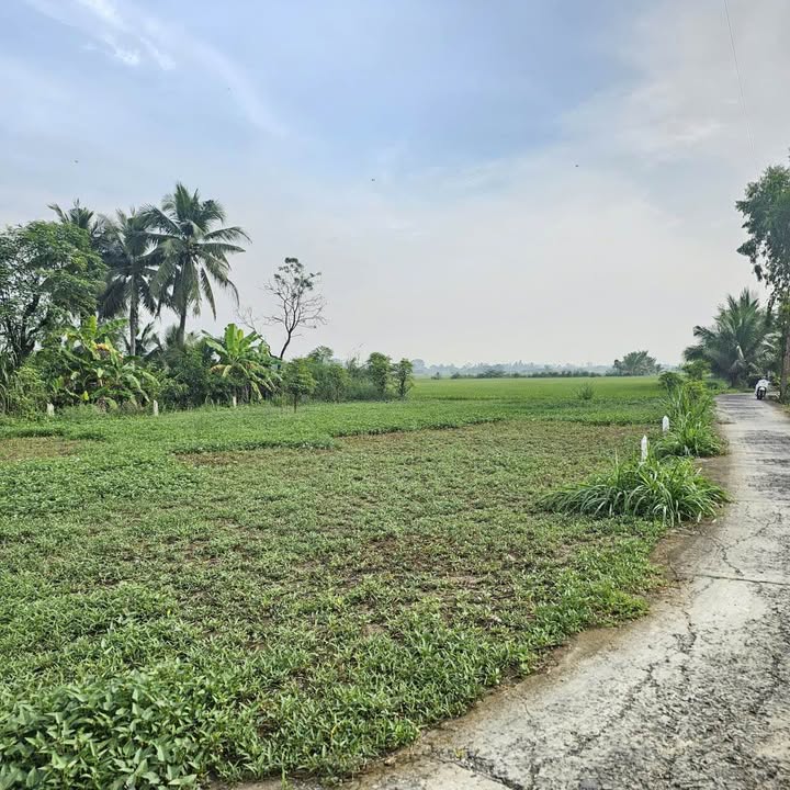 Đất nền thổ cư Bình Xuân Gò Công 102m² giá 250 triệu - Đầu tư sinh lời ngay!