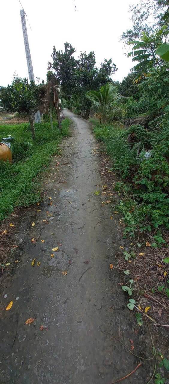 Đất vườn Hòa Khánh Cái Bè 4.5 công - Giá 2.475 tỷ, sẵn sàng đầu tư!