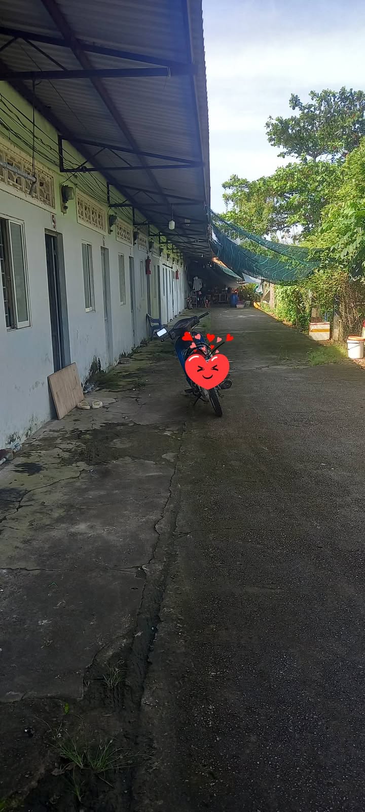 Nhà cấp 4 + 18 phòng trọ mặt tiền đường Võ Trường Toản 800m² giá 4.5 tỷ - Đầu tư sinh lời ngay!