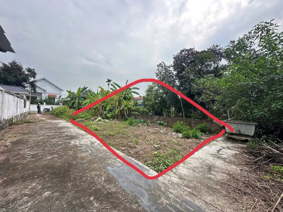 Đất nền Kiều Hạ, An Lão 67m² giá thỏa thuận - Đầu tư sinh lời tuyệt vời!