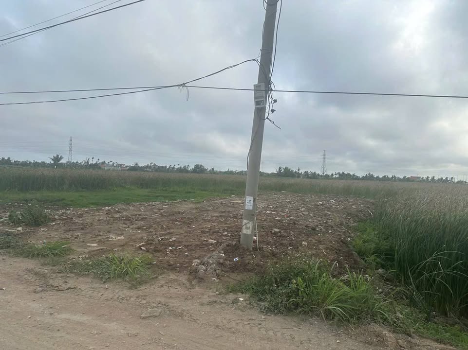 Đất liền kề Đường Dân Tiến, Đồ Sơn 190m² - Gần biển, tiềm năng tăng giá cao!