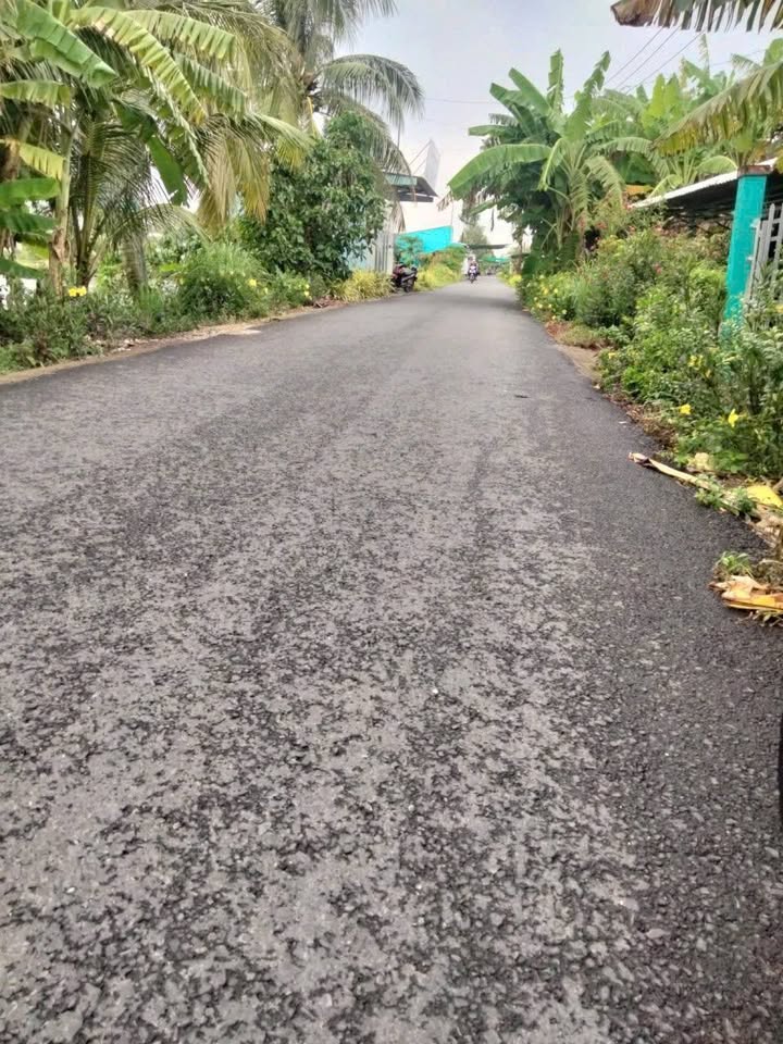 Đất nền Phước Long 537m² giá 657.6 triệu - Cơ hội đầu tư hấp dẫn!