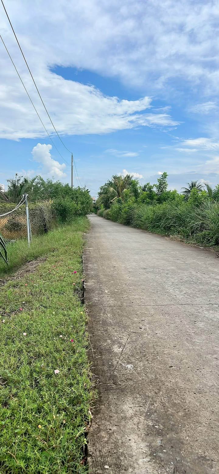 Đất thổ cư Vĩnh Công, Châu Thành 1000m² giá 1.25 tỷ - Cơ hội đầu tư tuyệt vời!