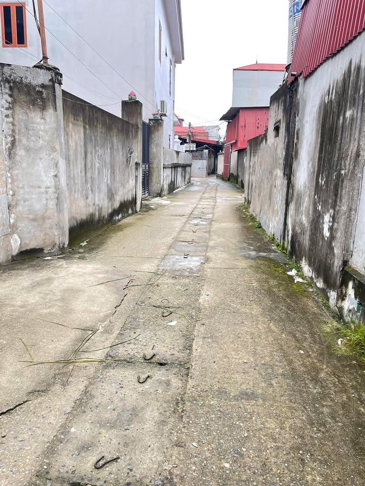 Đất thổ cư Tiên Trà Yên Phong 116m² giá 1 tỷ - Cơ hội đầu tư hấp dẫn!