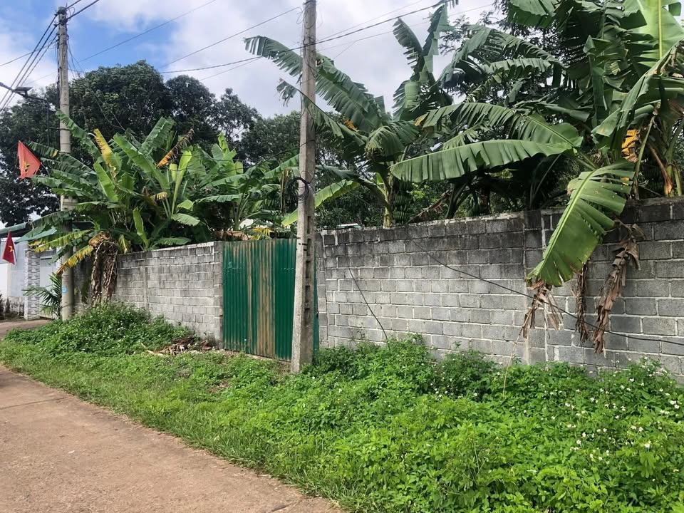 Đất nền thôn Hòa Trung, xã Hòa Đông, 608m² giá 1.15 tỷ - Cơ hội đầu tư hấp dẫn!