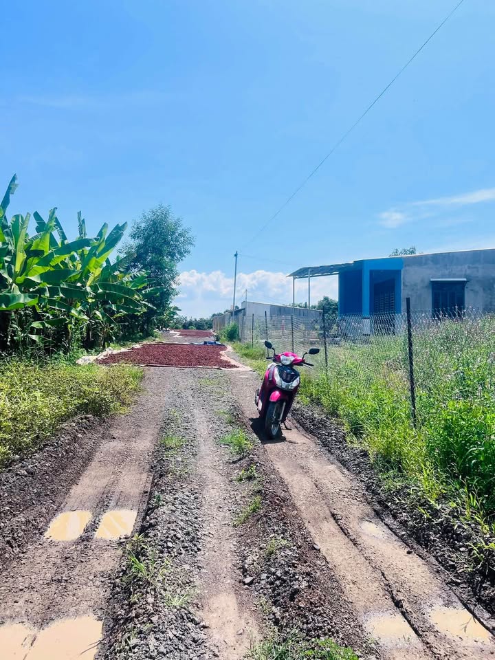 Đất nền 3000m² tại Phú Lâm, Đồng Nai - Giá 1.2 tỷ, sổ đỏ chính chủ!