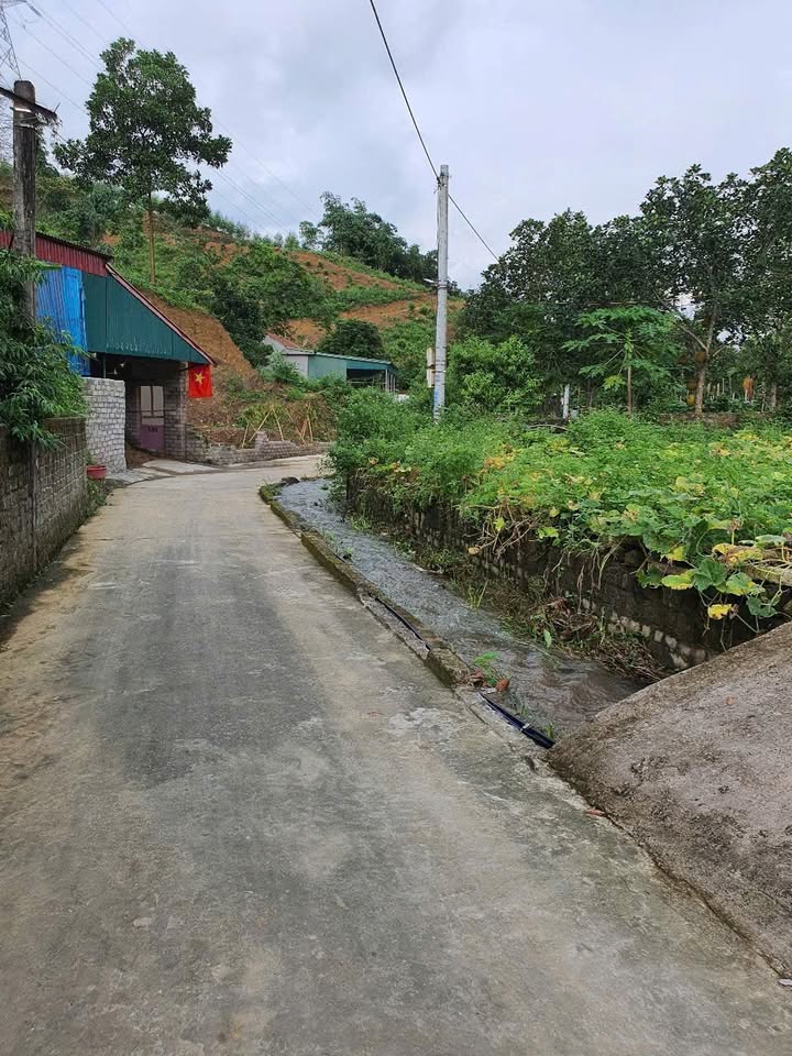 Đất nền Vàng Danh, Uông Bí 137m² giá 300 triệu - Cơ hội đầu tư hấp dẫn!