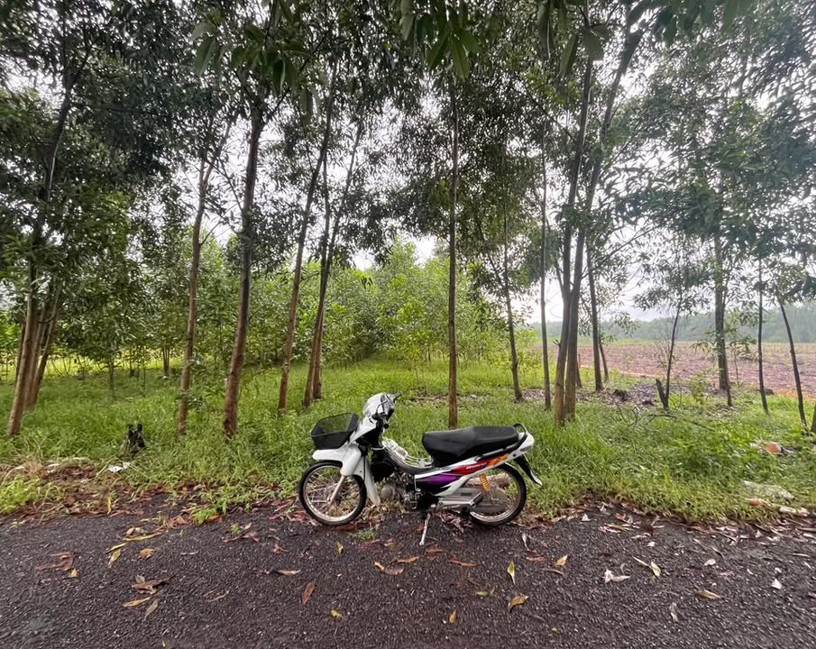 Đất nền ấp Tân Hiệp 2, xã Phước Thái 2100m² giá chỉ 4 tỷ - Cơ hội đầu tư tuyệt vời!