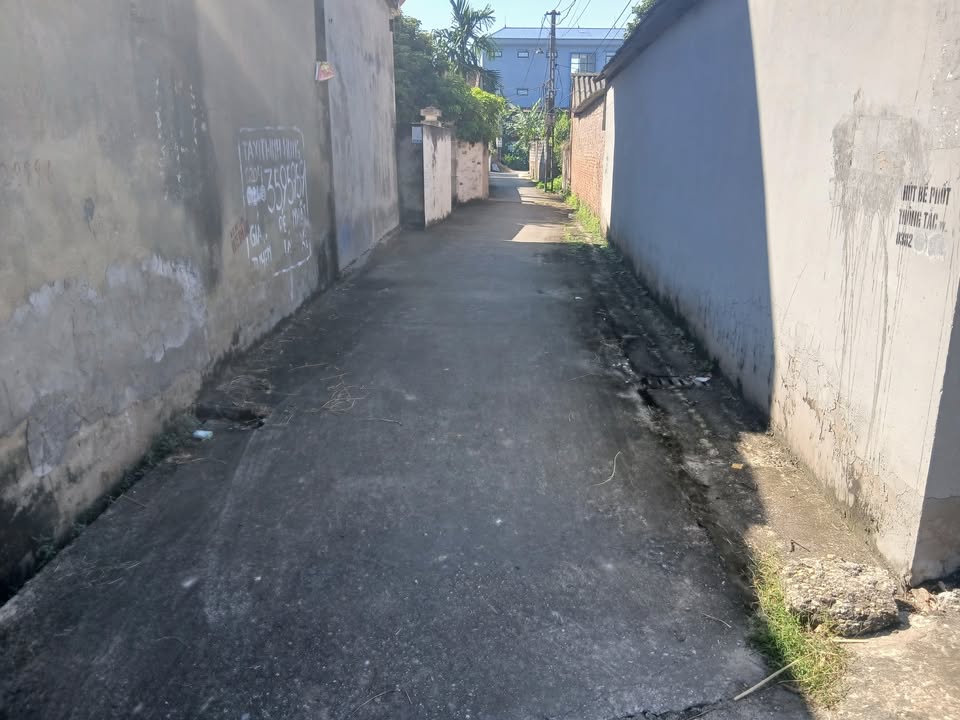 Đất thổ cư Cảnh Thụy, Yên Dũng 100m² giá 1.2 tỷ - Cơ hội đầu tư hiếm có!