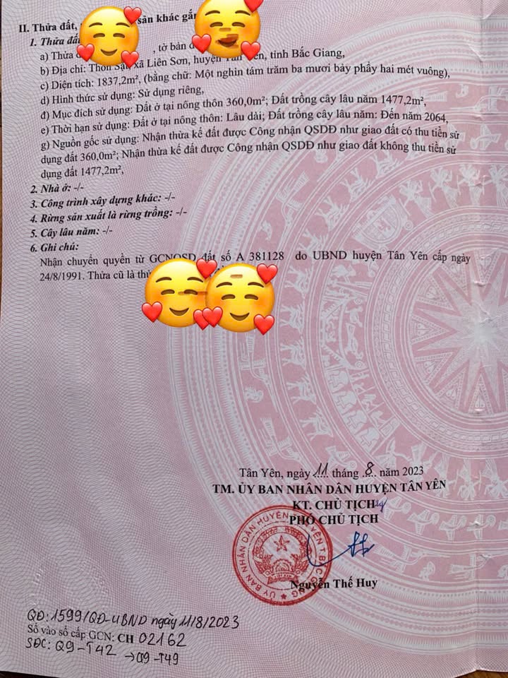 Đất nền Liên Sơn Tân Yên 1800m² giá thỏa thuận - Cơ hội hiếm có cho đầu tư!