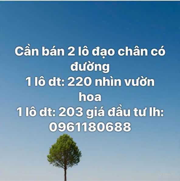 Đất nền Đạo Chân, Thuận Thành, 211m² - Vị trí đắc địa, giá thỏa thuận!