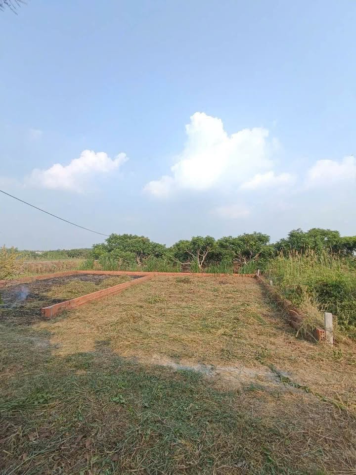 Đất nền Trường Lưu, Long Hoa 93m² giá chỉ 320 triệu - Đầu tư sinh lời ngay!