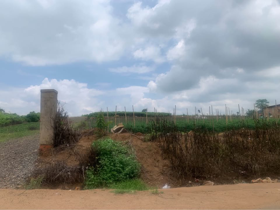 Đất nền xã Phú Hội, Đức Trọng, Lâm Đồng 1000m² giá 3.1 tỷ - Tiềm năng đầu tư lớn!