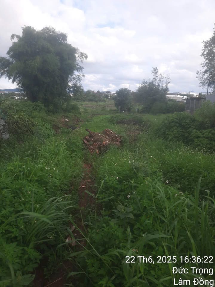 Đất nền xã Hiệp Thạnh, huyện Đức Trọng 476.6m² giá 2.5 tỷ - Đón đầu cổng phụ sân bay Liên Khương!