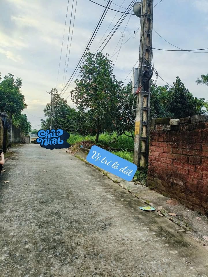 Đất thổ cư 89m² tại phường Tùng Thiện, Sơn Tây - Đường ô tô tránh, giá chỉ 1.1 tỷ!