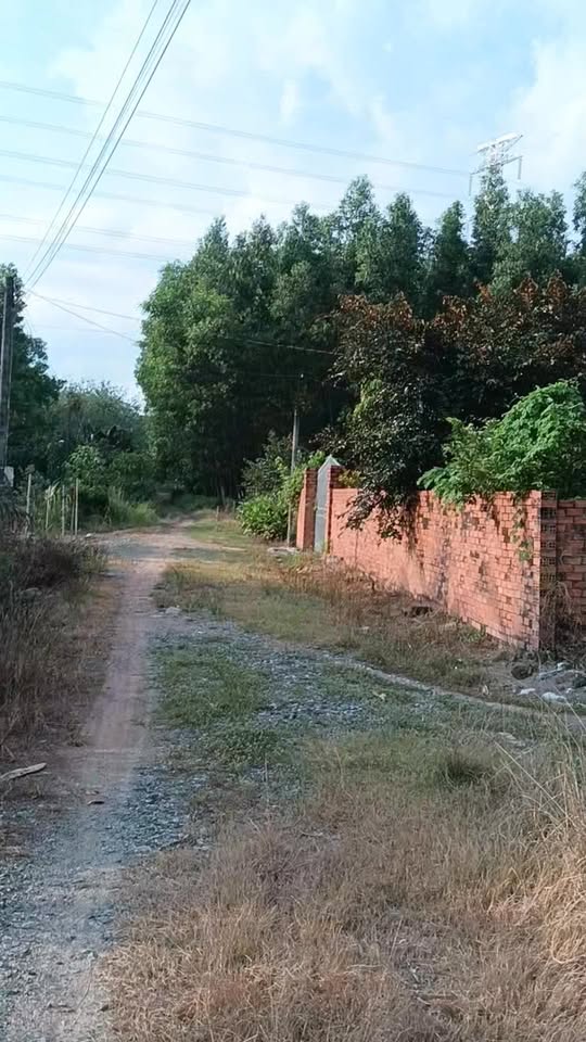 Đất nền 1.877m² xã Long Hòa, Dầu Tiếng chỉ 900 triệu - Đầu tư sinh lời ngay!