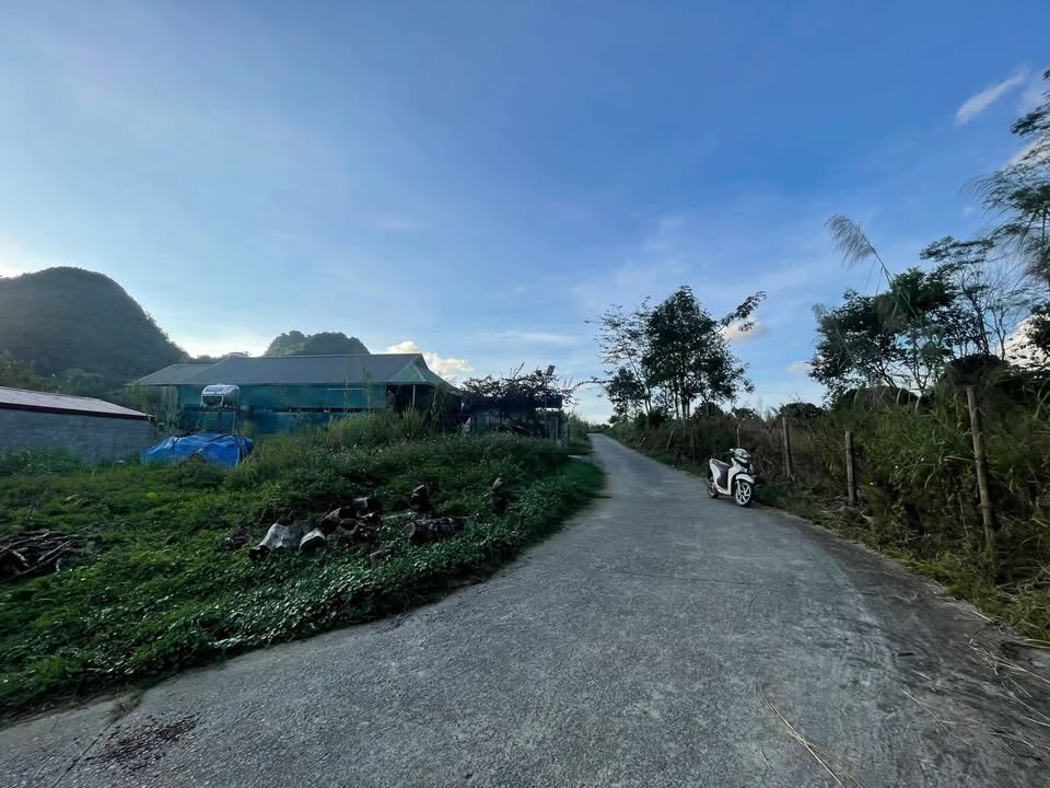 Đất nền 116m² phường Tân Phong giá chỉ 500 triệu - Cơ hội đầu tư tuyệt vời!