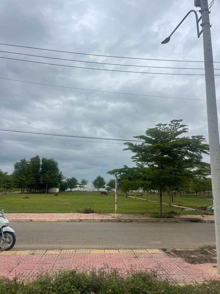 Đất nền KDC Nam An, Hàm Thắng 97.5m² giá 975 triệu - Đối diện công viên xanh mát!