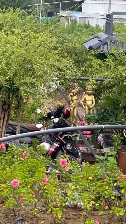 Khu nghỉ dưỡng tại xã Long Thắng, 1500m² giá 2 tỷ - Pháp lý rõ ràng!