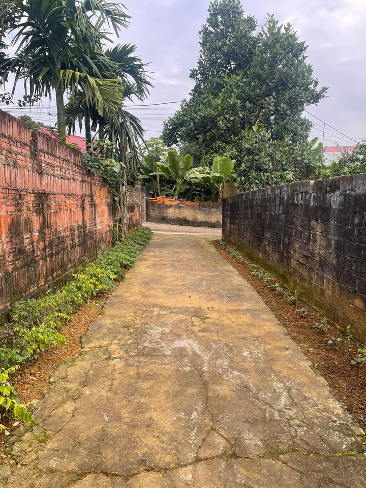 Đất nền Khu Giáp Trung, xã Thanh Sơn - 1040m² giá 800 triệu - Tiềm năng sinh lời cao!