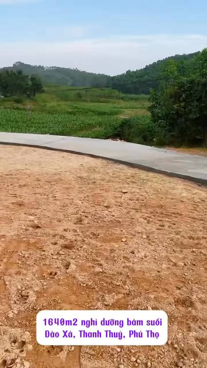 Đất nghỉ dưỡng bám suối Đào Xá 1640m² giá 1 tỷ - Đầu tư lý tưởng!