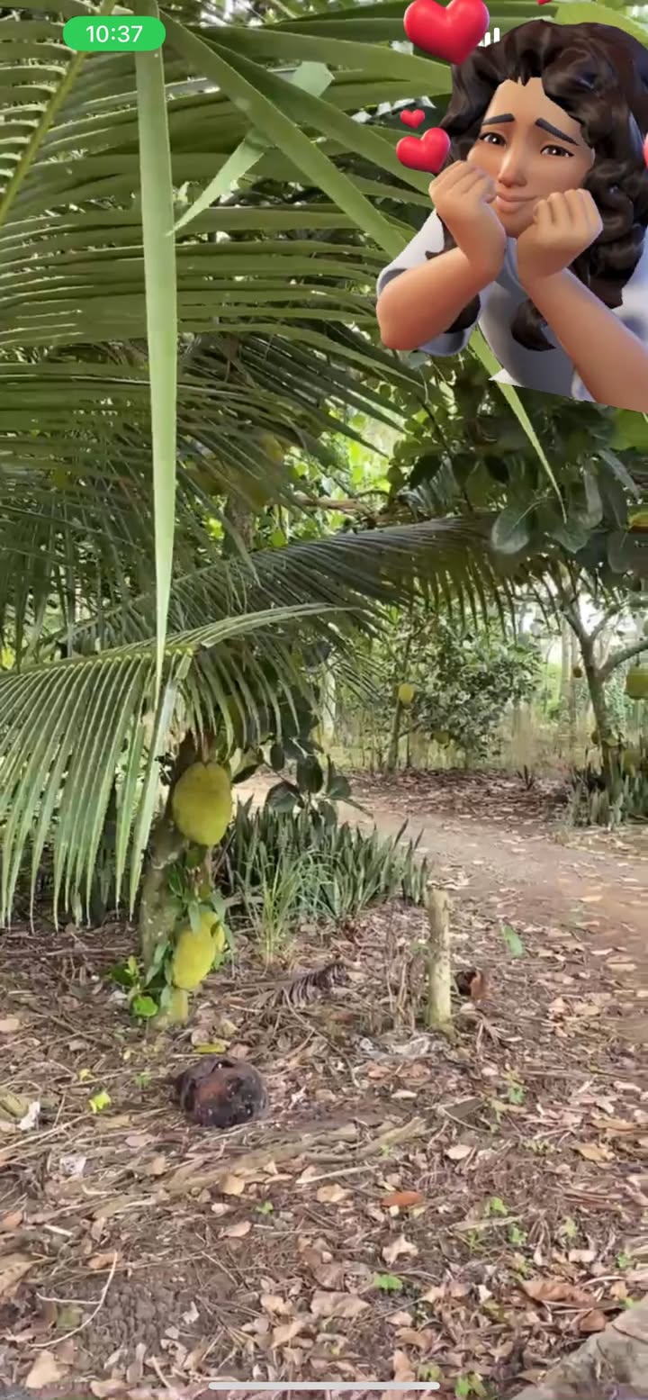 Đất thổ cư Xuân Hiệp, 195m² giá 660 triệu - Sổ đỏ chính chủ, đường bê tông