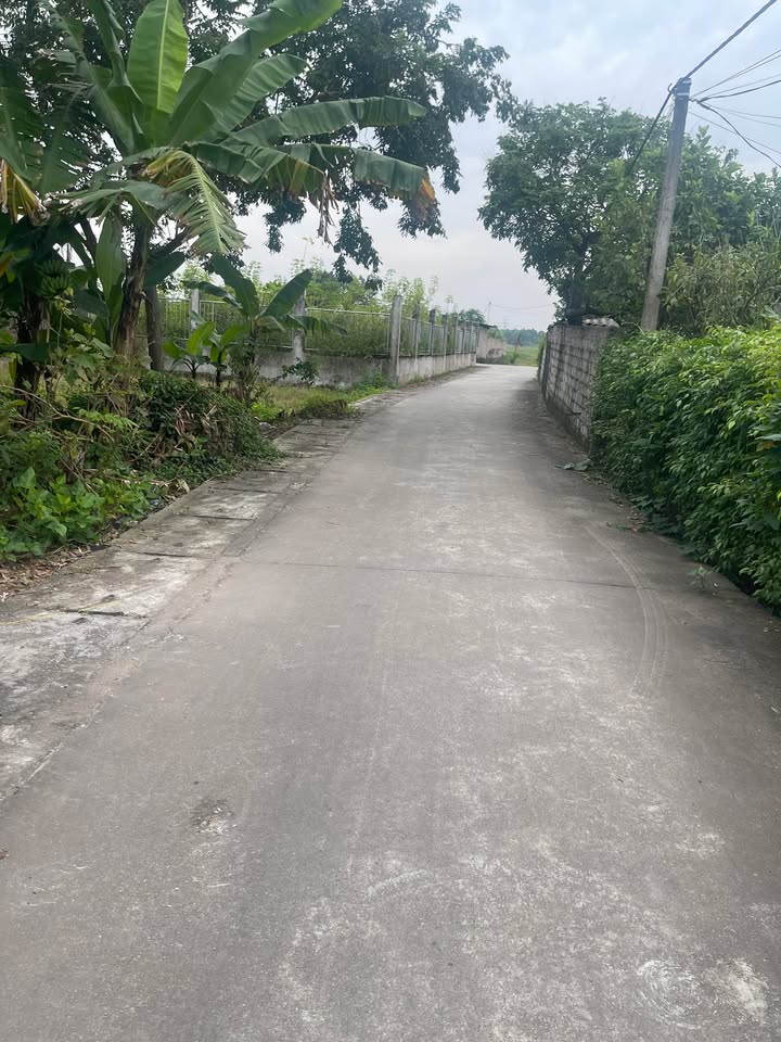 Đất nền xã Chương Dương, Thường Tín 56m² giá 2.78 tỷ - Đầu tư sinh lời tiềm năng!