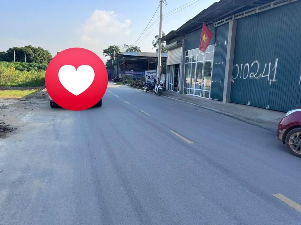 Đất nền kinh doanh tại Thôn Quang Đạo, Đạo Trù, Vĩnh Phúc - Diện tích 80m² chỉ 1 tỷ!