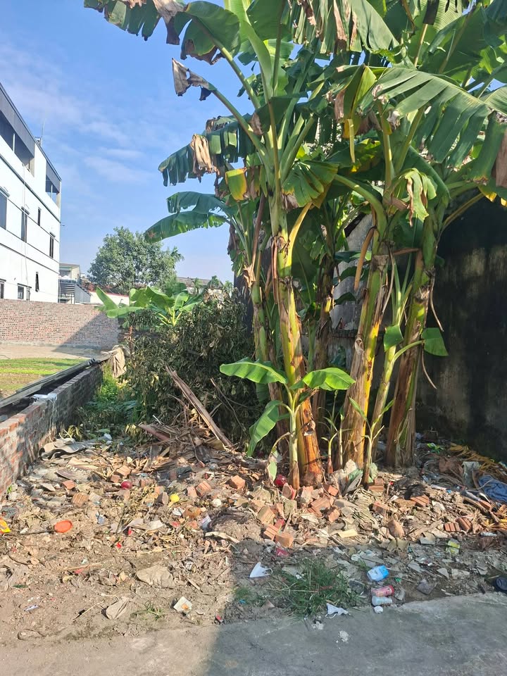 Đất nền thổ cư 79m² tại Thôn Đoài, Sóc Sơn - Cơ hội đầu tư tiềm năng!