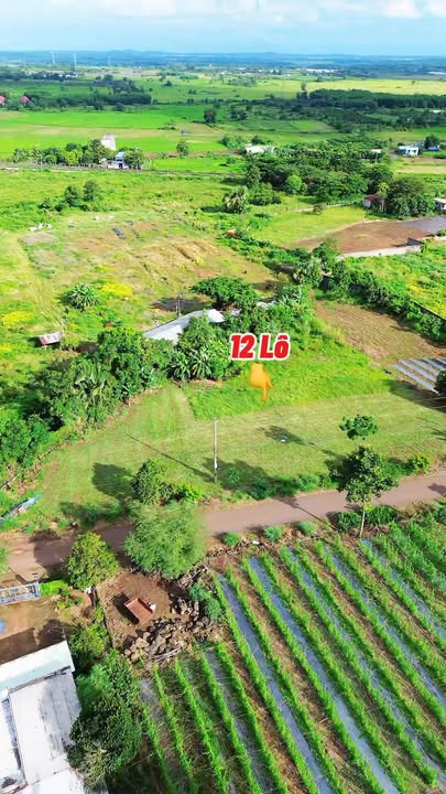 Đất nền Nghĩa Thành, Châu Đức 200m² giá thỏa thuận - Cơ hội đầu tư tuyệt vời!