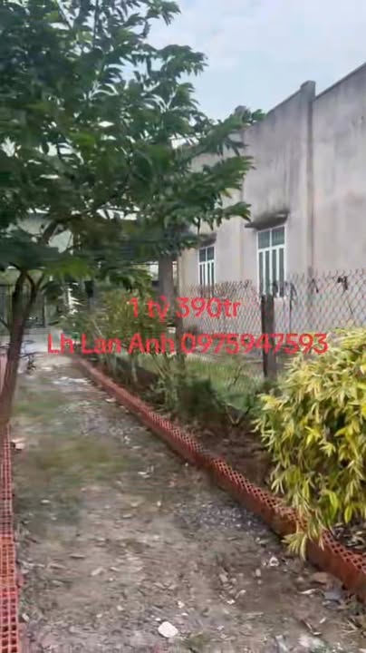 Nhà đẹp phường Long Hoa, Tây Ninh 495.9m² giá 1.39 tỷ - Sân vườn thoáng mát!