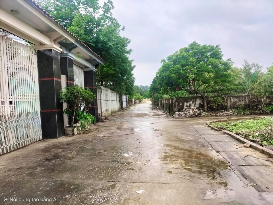 Đất Diễn Thái, Diễn Châu 161m² giá 1.3 tỷ - Cơ hội đầu tư tuyệt vời!