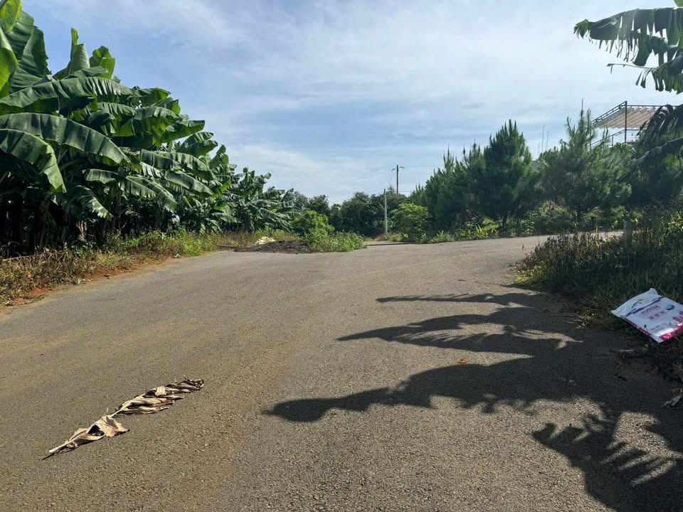 Đất nền 1087m² xã Tân Lạc Bảo Lâm - Giá chỉ 1.5 tỷ VND, thương lượng ngay!