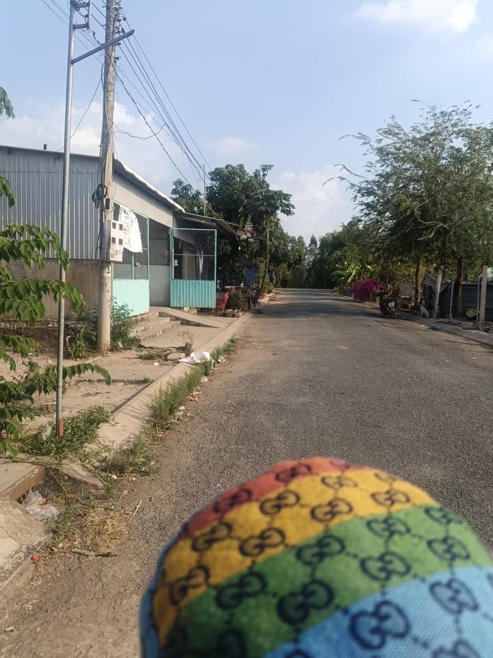 Đất nền Tân Thạnh, Long An 120m² giá chỉ 550 triệu - Cơ hội đầu tư tốt!