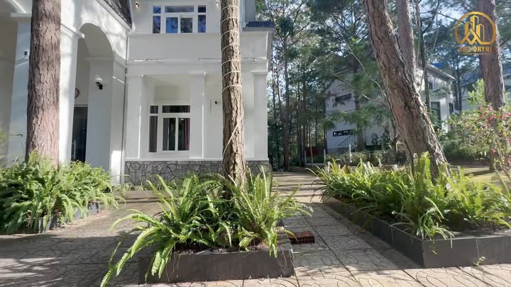 Biệt thự Hồ Tuyền Lâm Đà Lạt 1.370m² giá 17 tỷ - Vị trí hiếm có giữa rừng thông!