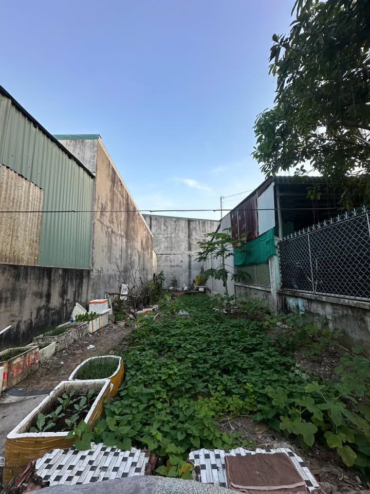 Đất nền Trảng Dài Biên Hòa 125m² giá 1.05 tỷ - Gần Mầm Non Hoàng Yến!