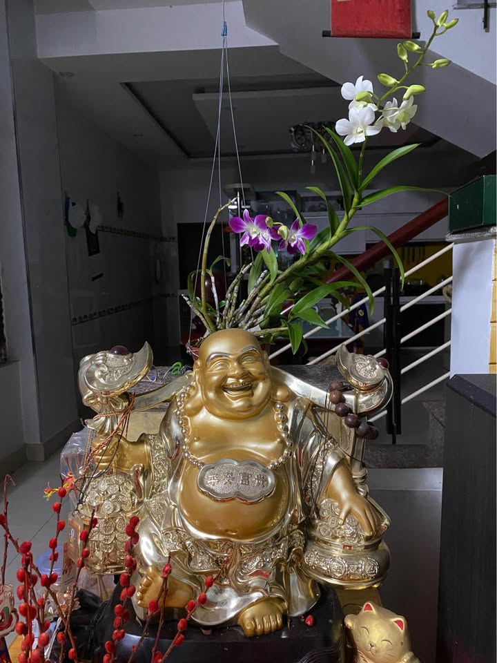 Nhà mặt tiền Lê Thạch, Cẩm Lệ, Đà Nẵng 79m² giá 5 tỷ - Vị trí kinh doanh đắc địa!