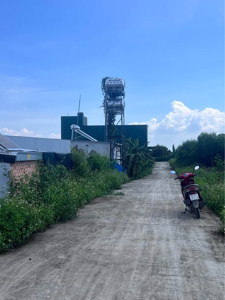 Đất nền Phương Lâm 280m² giá 1.5 tỷ - Sổ hồng chính chủ, đầu tư sinh lời!