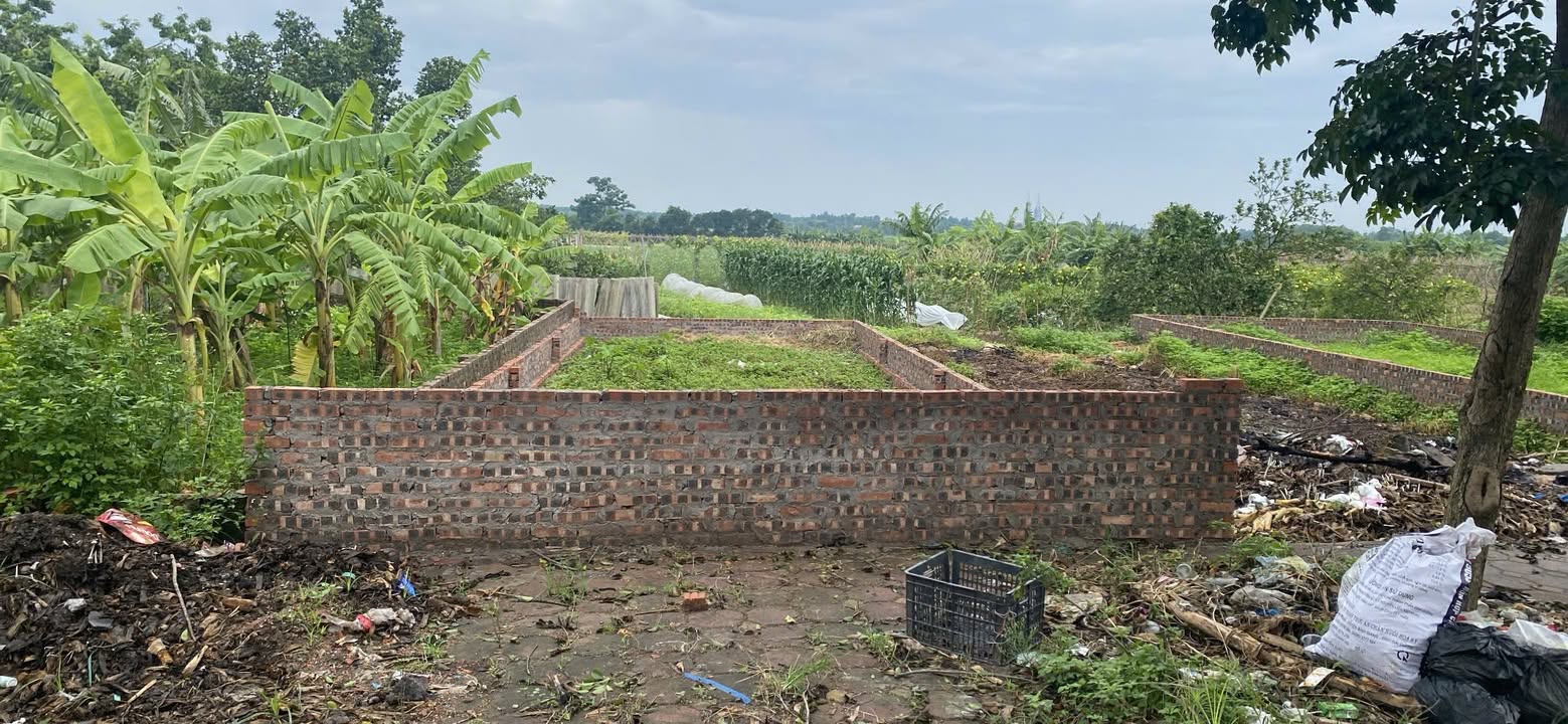 Đất đấu giá Cẩn Khê, Đông Anh 75,57m² - Sổ đỏ chính chủ, giá hợp lý!